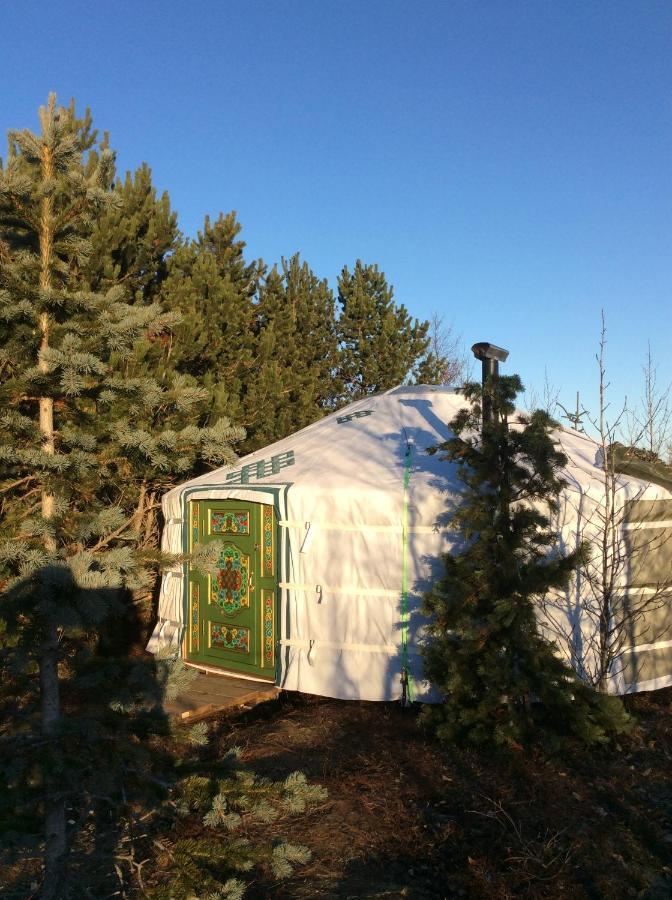 Valhalla Yurts Odin Selfoss Luaran gambar